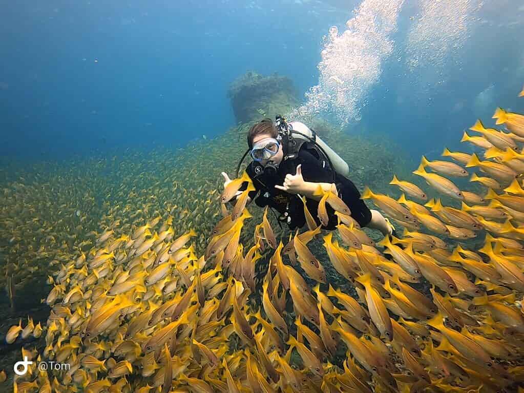 Turista rodeada em um cardume de peixes em um mergulho na ilha de Phi Phi na Tailândia