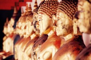 diversos buddhas dourados em um templo de bangkok