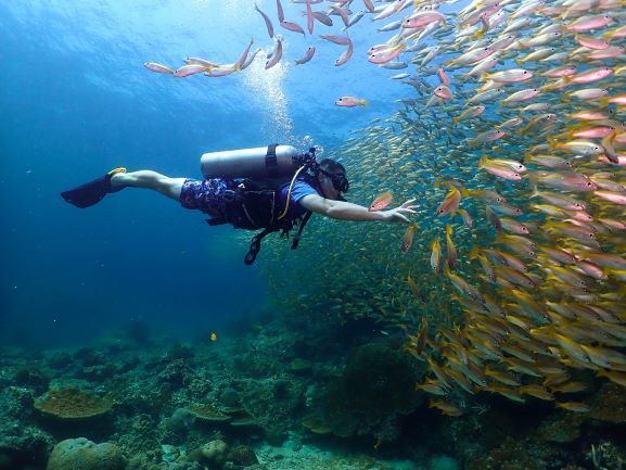 pessoa mergulhando em frente à um coral de peixes em Phi Phi, na Tailândia