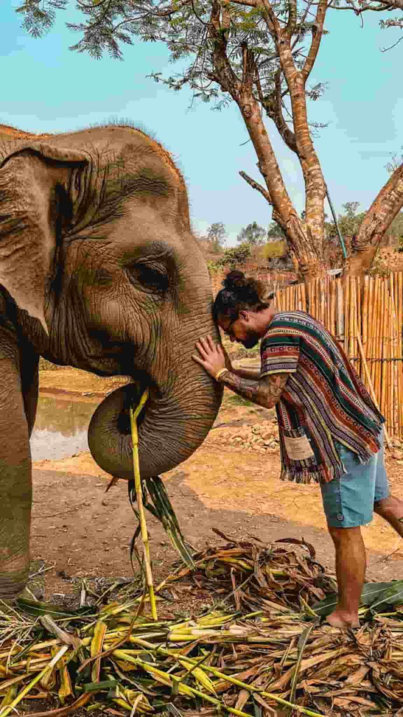 Brasileiro com elefantes em um santuário na Tailândia