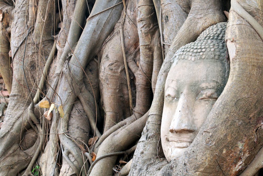 Ayutthaya | Phi Phi Brazuca