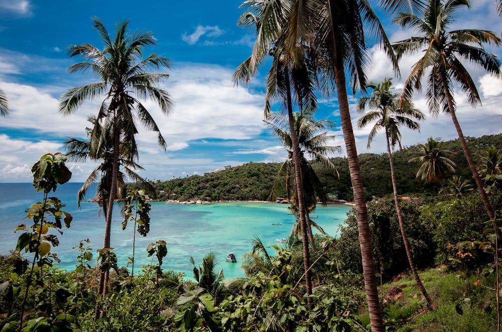 O Que Fazer Em Koh Tao | Phi Phi Brazuca