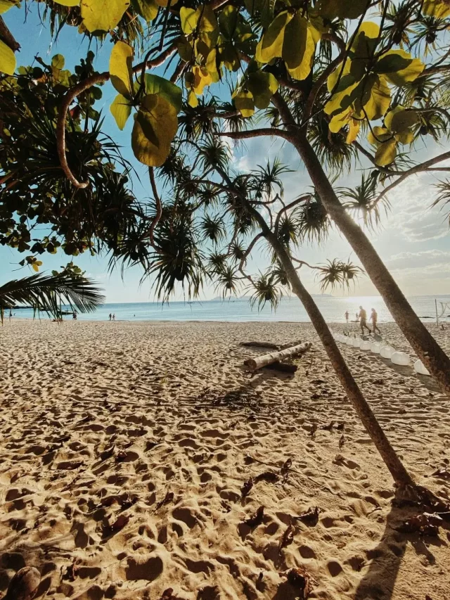 Praias para família na Tailândia | Phi Phi Brazuca