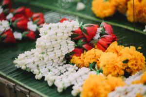 mercado chatuchak em Bangkok